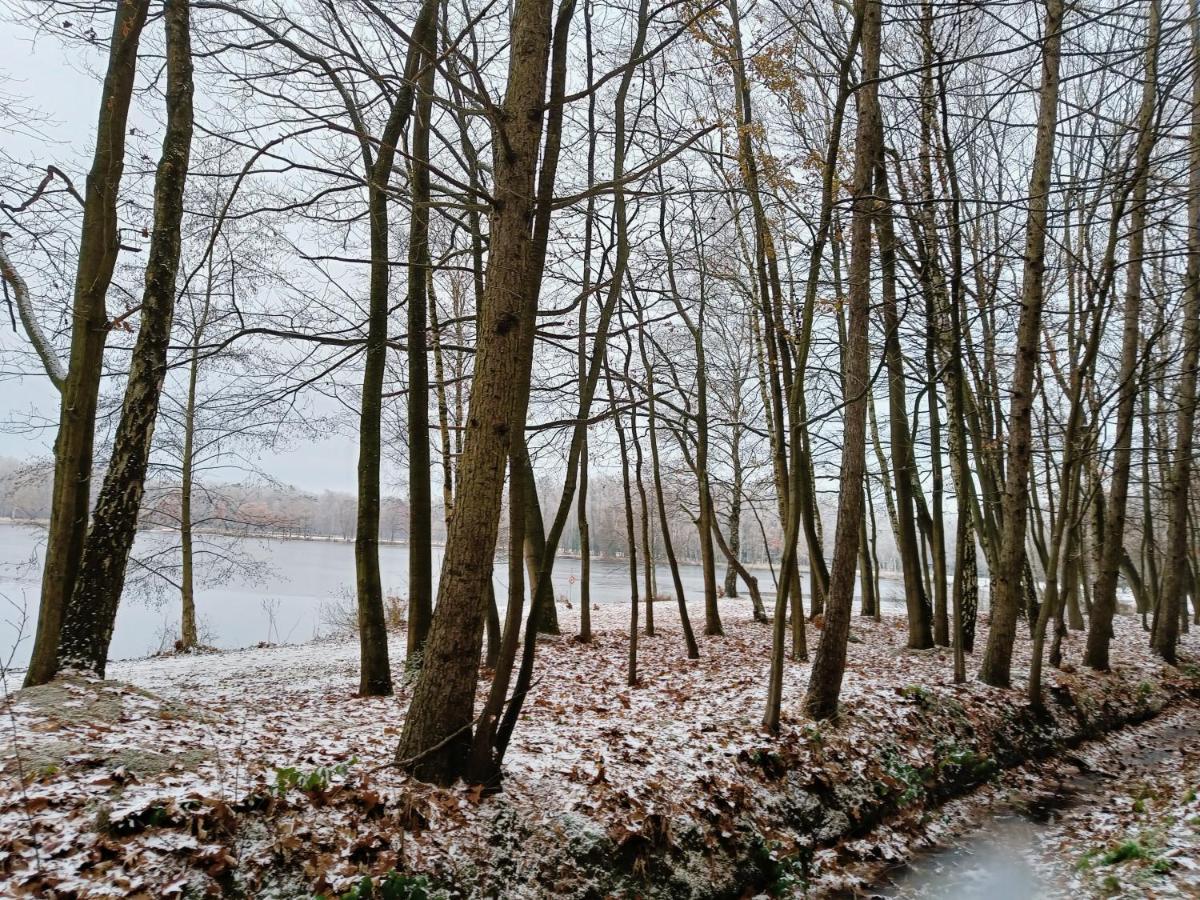Lauwie 14 Lanaken Esterno foto