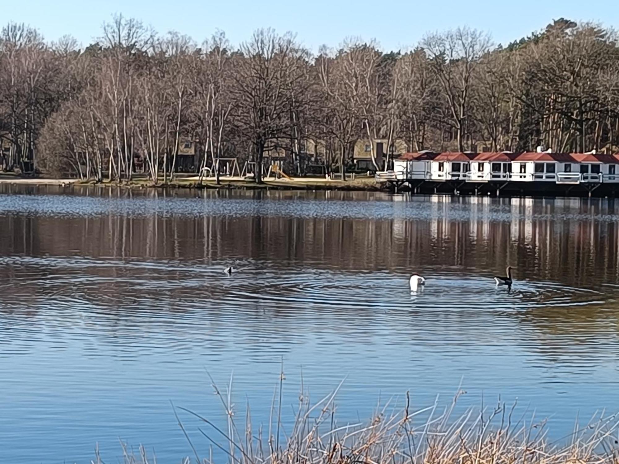 Lauwie 14 Lanaken Esterno foto